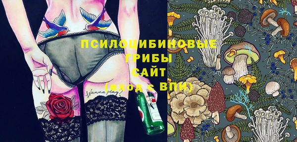 гидропоника Алзамай